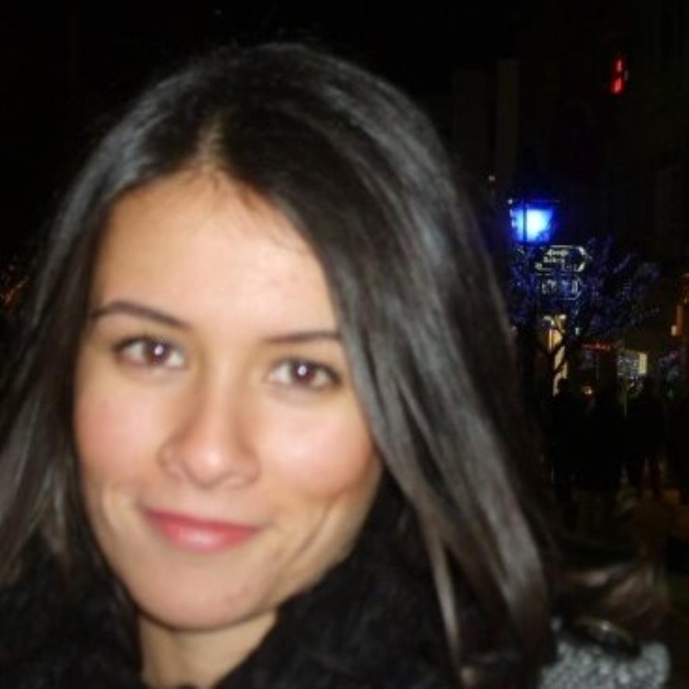 Prof. Dr.  Pınar OBAKAN YERLİKAYA
